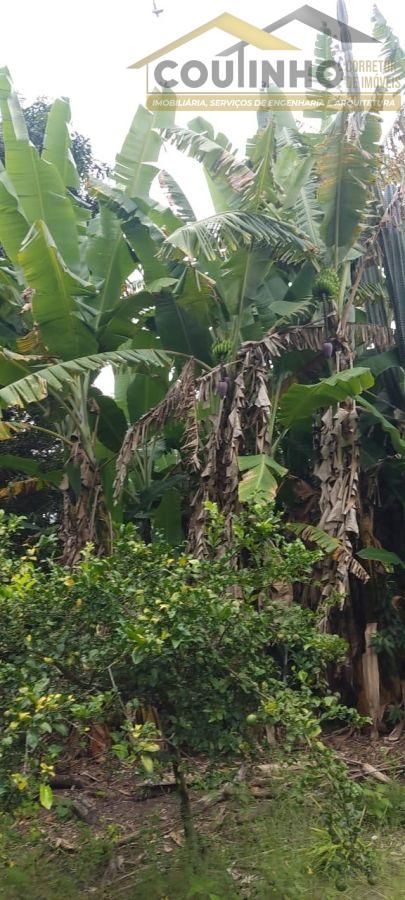 WhatsApp Image 2025-02-10 at 10.33.04.jpeg